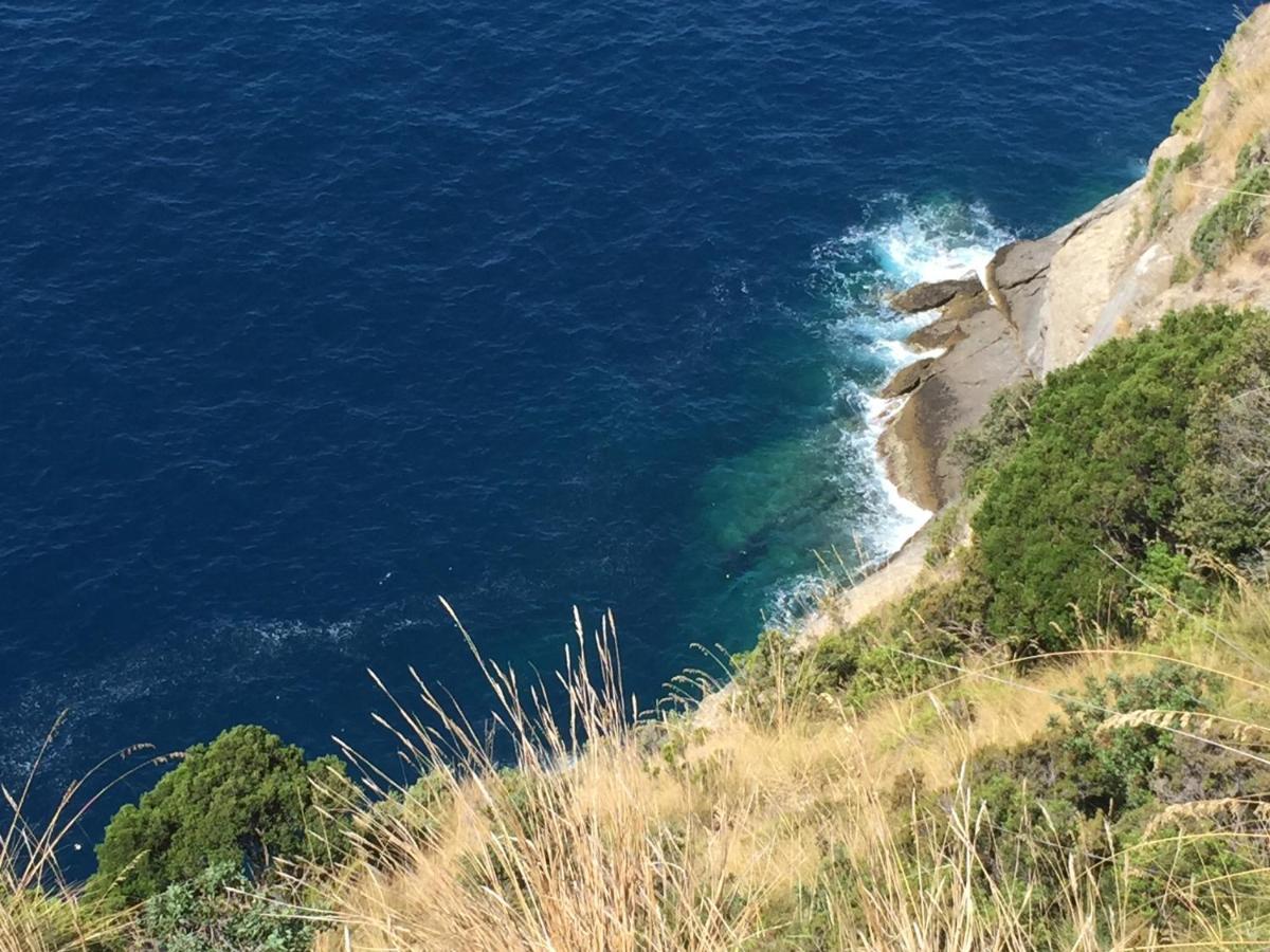 Villa Cielomare カモーリ エクステリア 写真